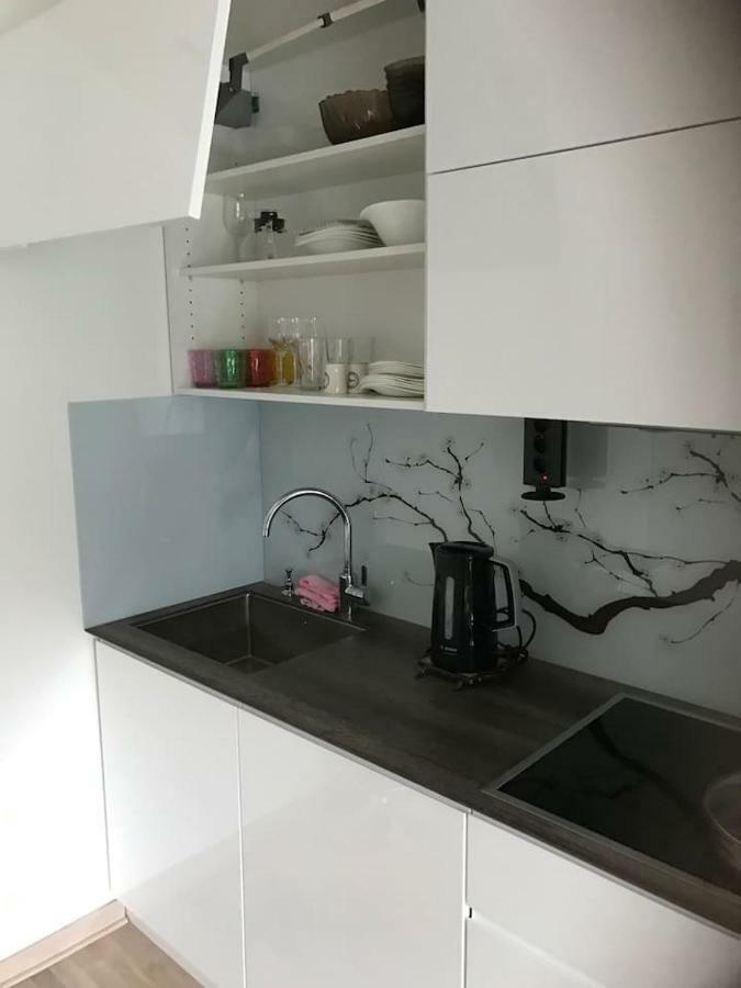 Apartman Oslo เบลเกรด ภายนอก รูปภาพ